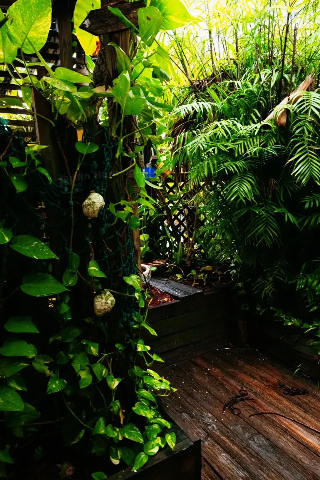 Préparer son jardin pour le printemps en douceur