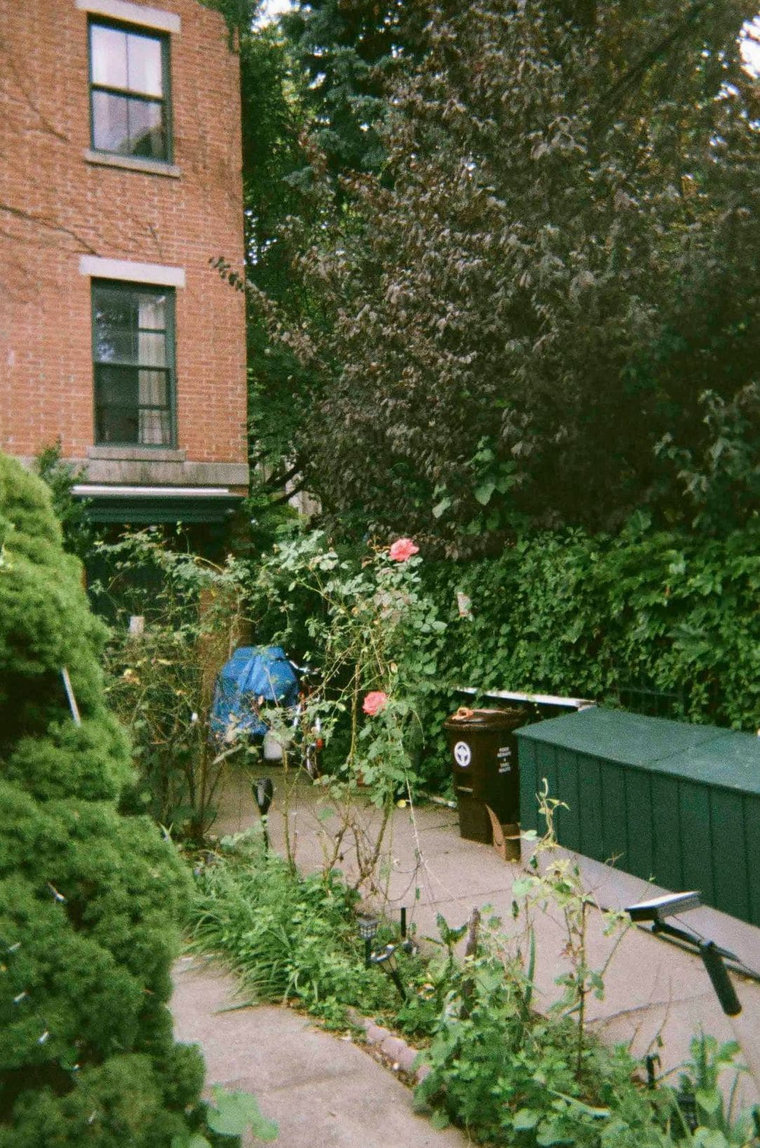 Jardin Harmonie 10