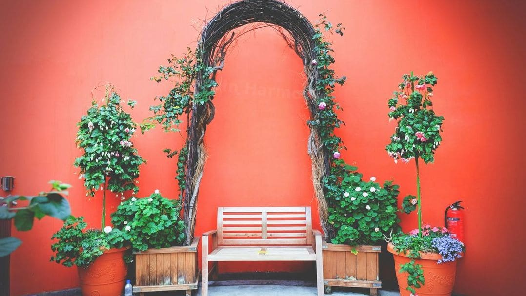 Jardin Harmonie 12