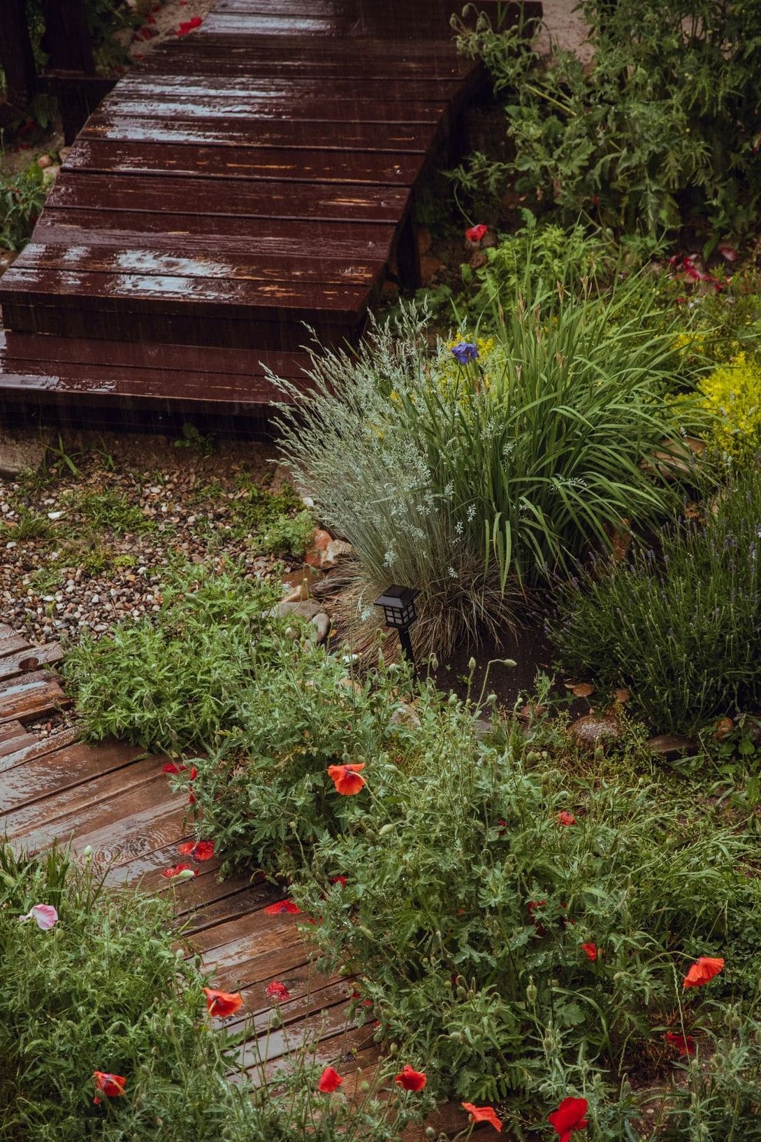 Jardin Harmonie 13