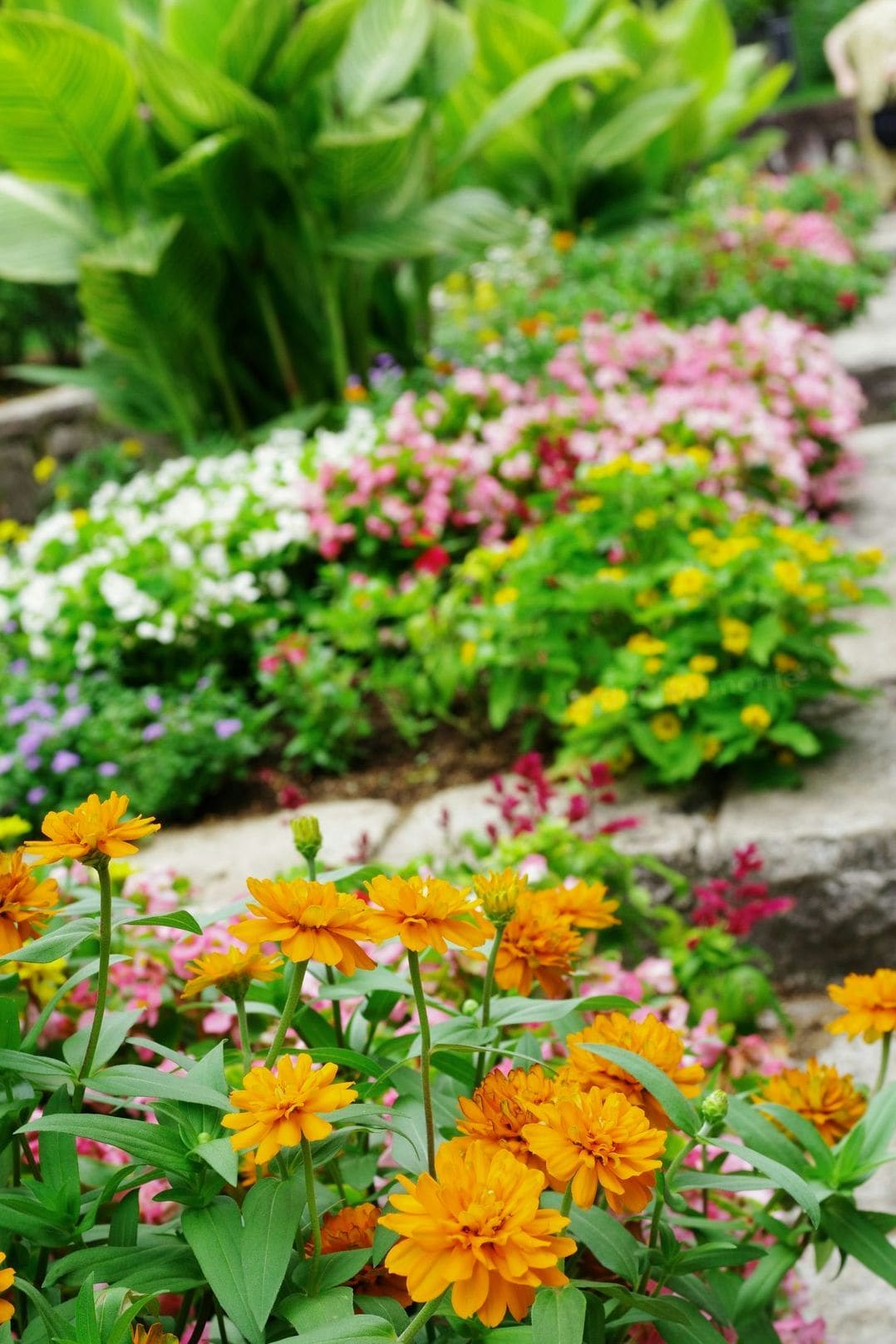 Jardin Harmonie 14