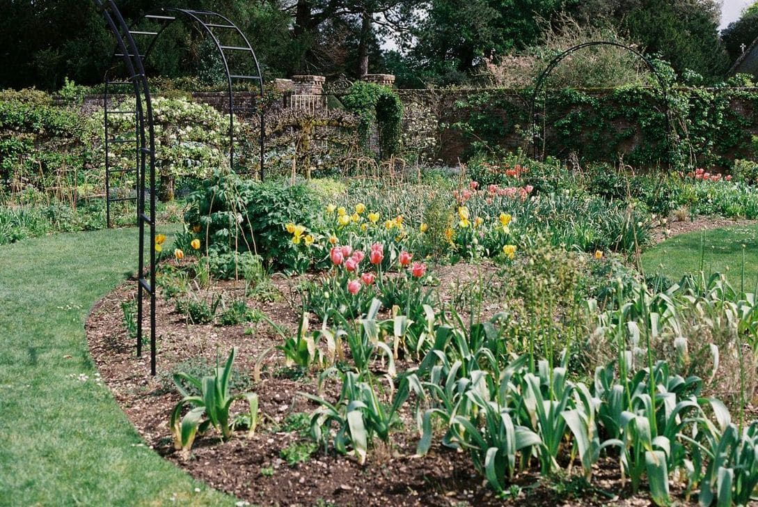 Jardin Harmonie 15