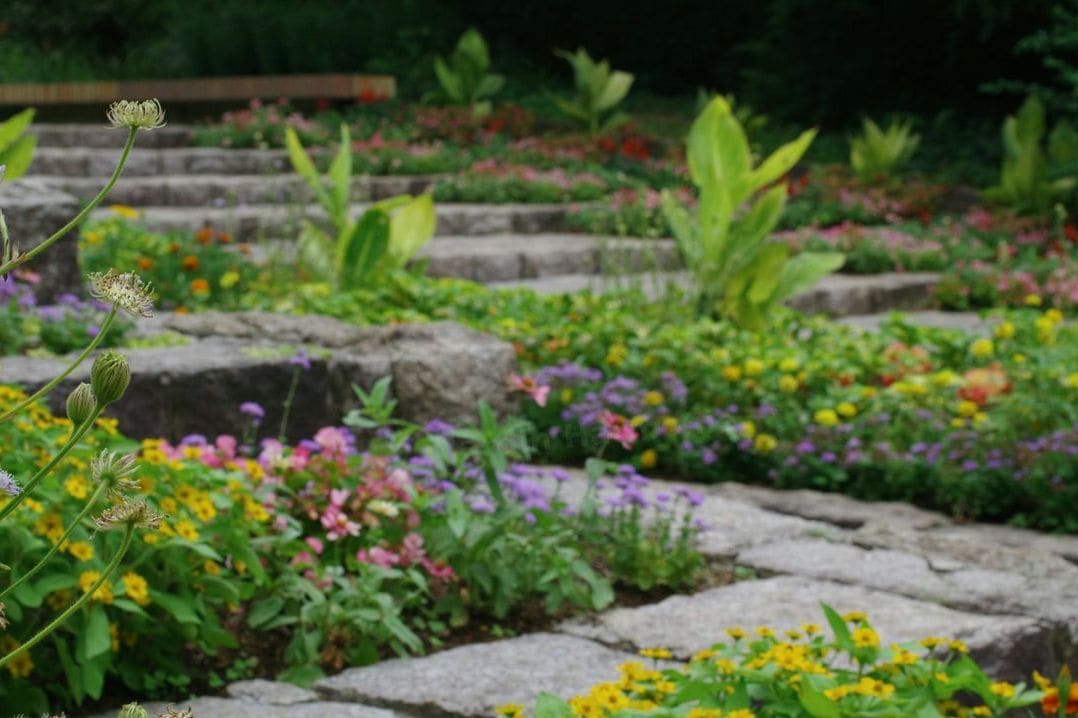Jardin Harmonie 3