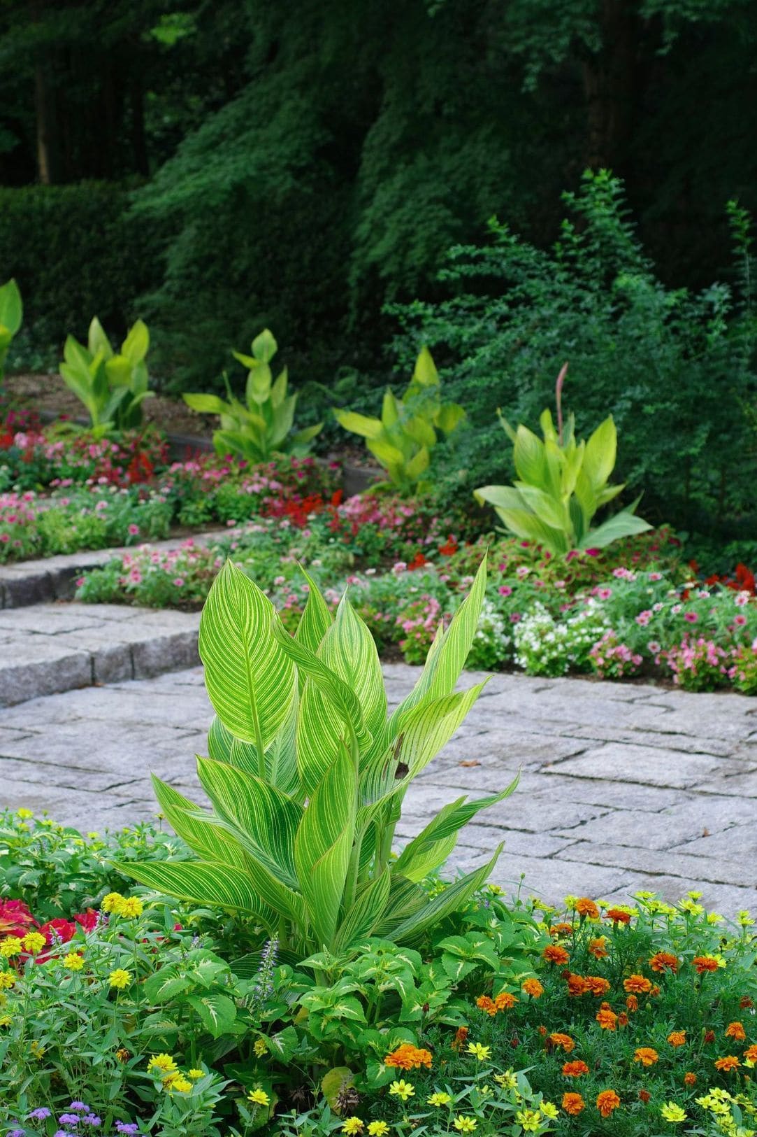 Jardin Harmonie 5