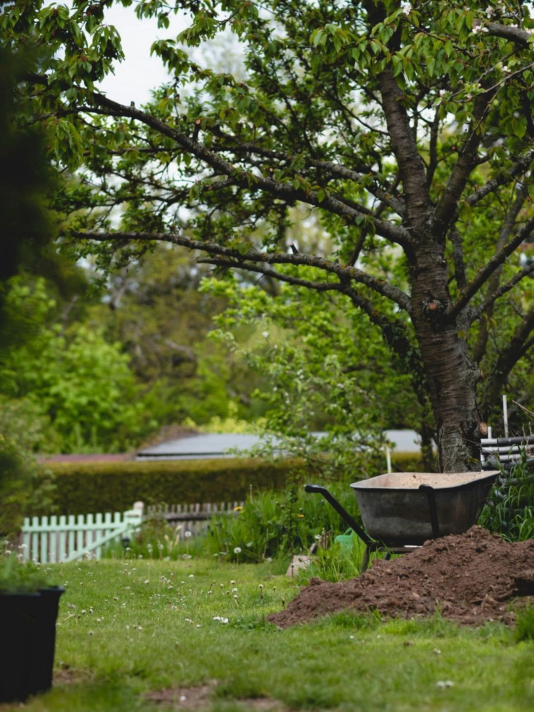 Jardin Harmonie 6