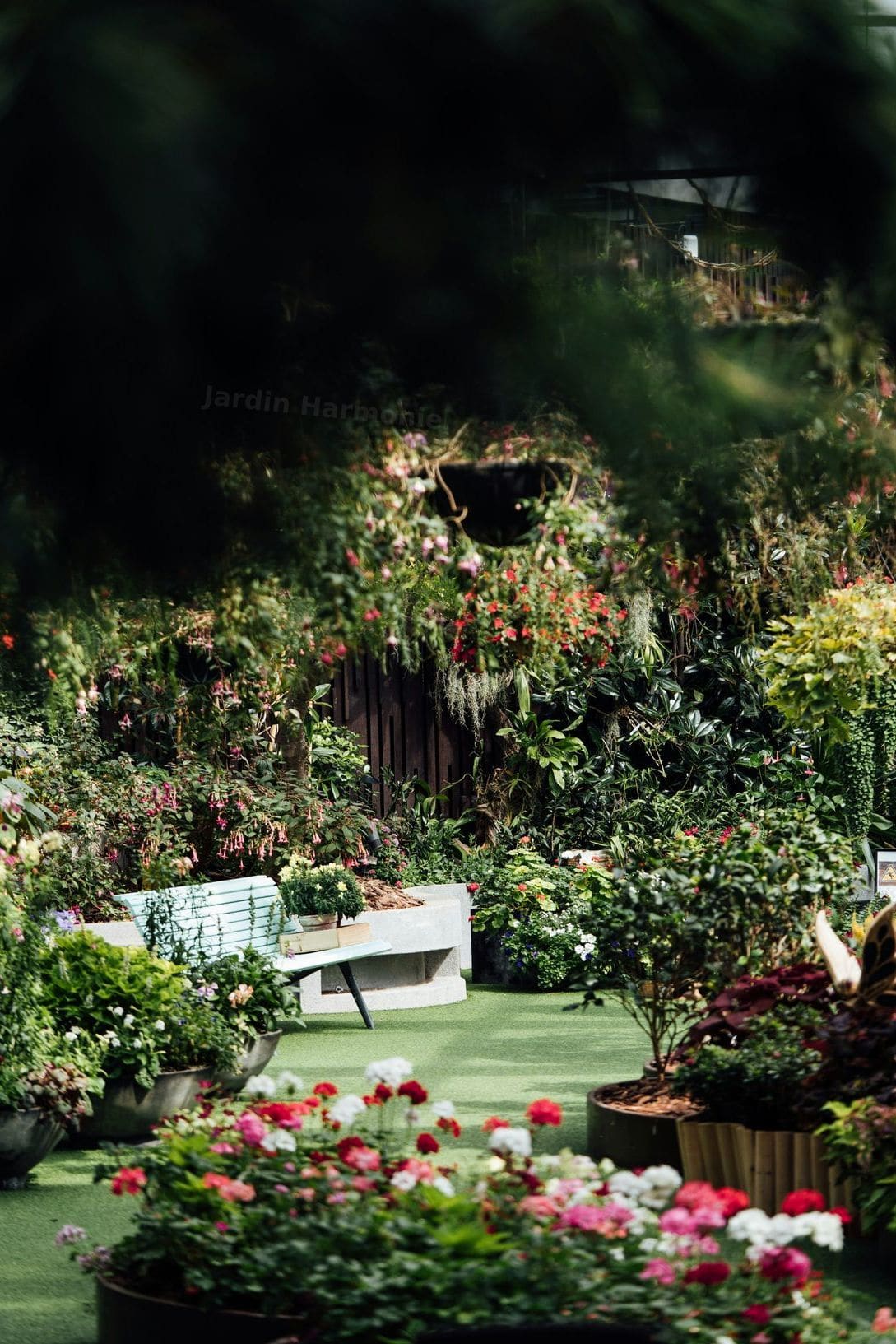 Jardin Harmonie 7