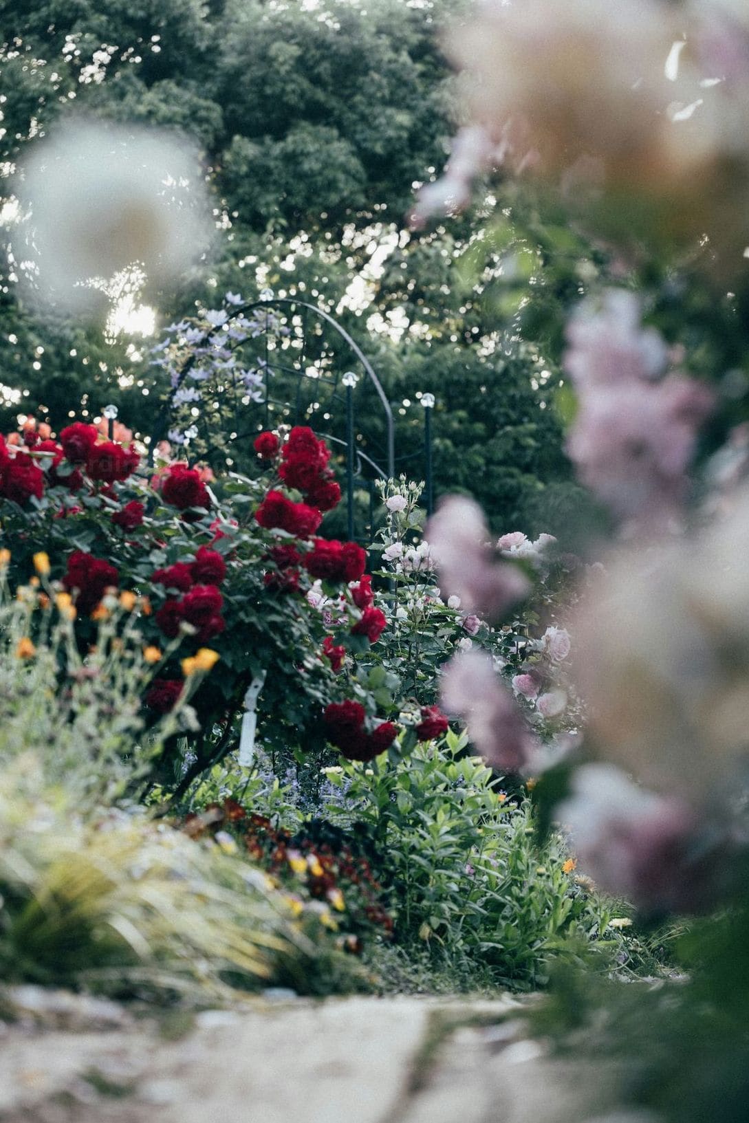 Jardin Harmonie 8