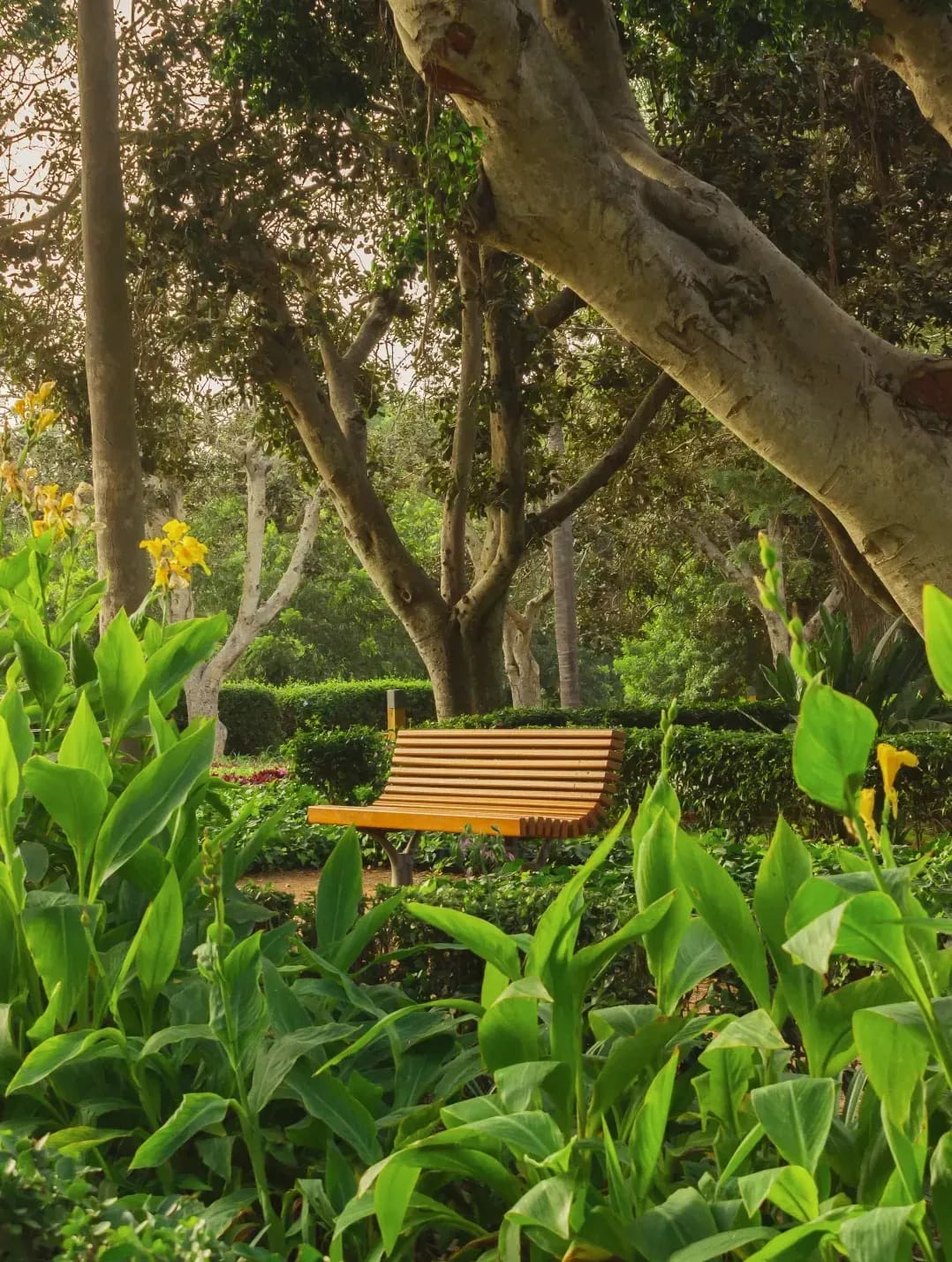Entretien régulier des jardins